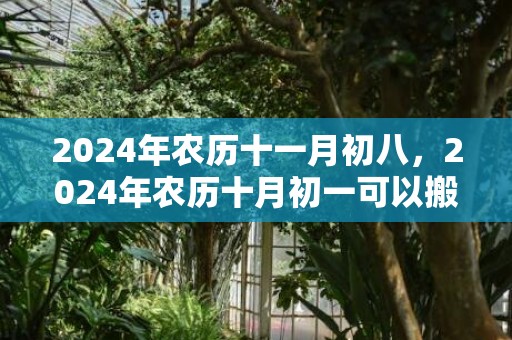 2024年农历十一月初八，2024年农历十月初一可以搬家入宅吗