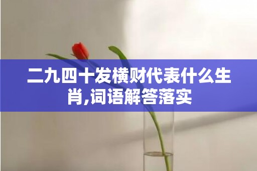 二九四十发横财代表什么生肖,词语解答落实插图