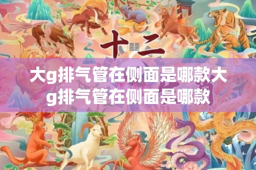 大g排气管在侧面是哪款大g排气管在侧面是哪款