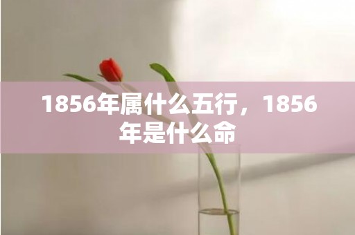 1856年属什么五行，1856年是什么命