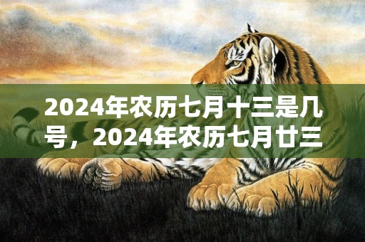 2024年农历七月十三是几号，2024年农历七月廿三出生的男孩运势如何