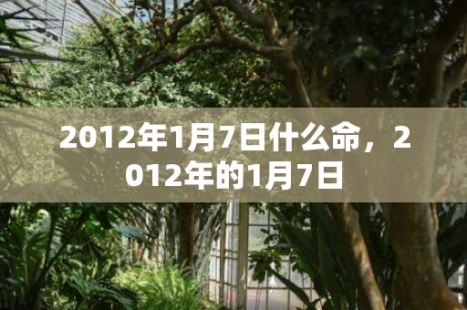 2012年1月7日什么命，2012年的1月7日