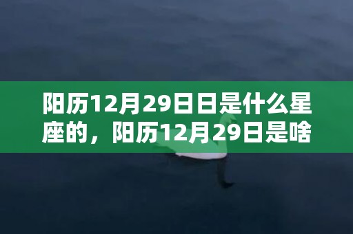 阳历12月29日日是什么星座的，阳历12月29日是啥