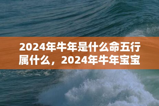 2024年牛年是什么命五行属什么，2024年牛年宝宝起名大全