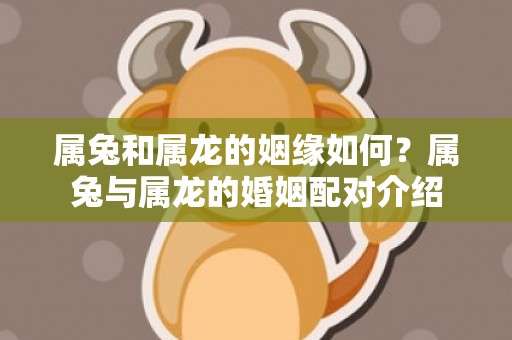 属兔和属龙的姻缘如何？属兔与属龙的婚姻配对介绍