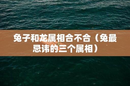 兔子和龙属相合不合（兔最忌讳的三个属相）