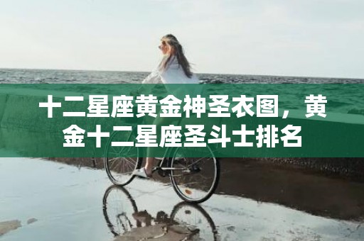 十二星座黄金神圣衣图，黄金十二星座圣斗士排名