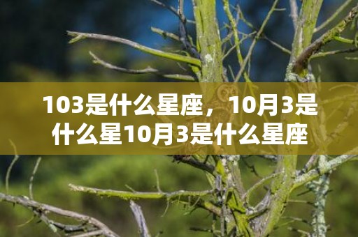 103是什么星座，10月3是什么星10月3是什么星座