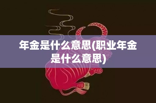 年金是什么意思(职业年金是什么意思)