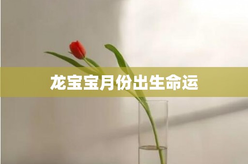 龙宝宝月份出生命运