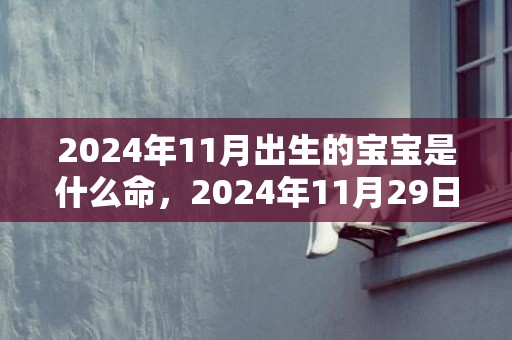 2024年11月出生的宝宝是什么命，2024年11月29日出生的人五行属什么缺什么