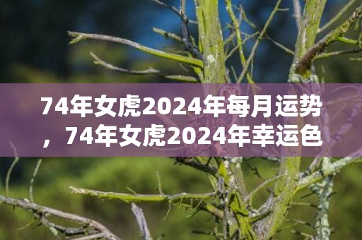 74年女虎2024年每月运势，74年女虎2024年幸运色