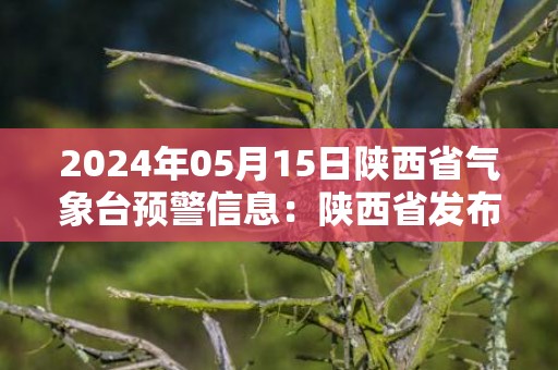 2024年05月15日陕西省气象台预警信息：陕西省发布大风蓝色预警