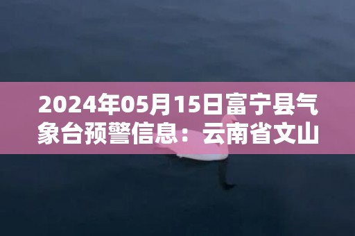 2024年05月15日富宁县气象台预警信息：云南省文山壮族苗族自治州富宁县发布暴雨橙色预警