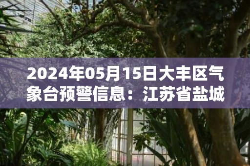 2024年05月15日大丰区气象台预警信息：江苏省盐城市大丰区发布大风橙色预警