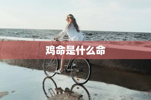 鸡命是什么命