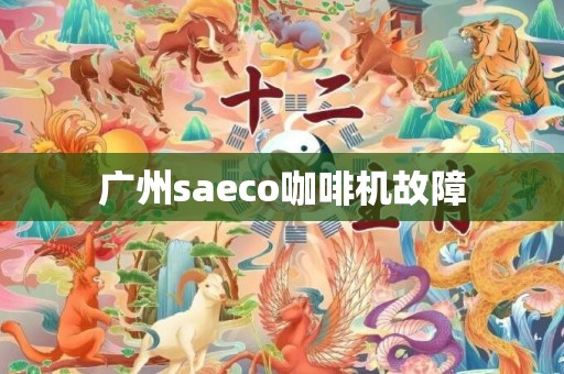 广州saeco咖啡机故障