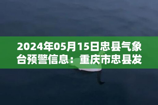 2024年05月15日忠县气象台预警信息：重庆市忠县发布大雾橙色预警