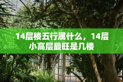 14层楼五行属什么，14层小高层最旺是几楼