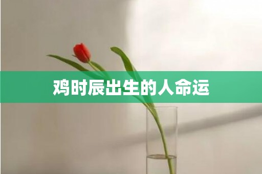 鸡时辰出生的人命运