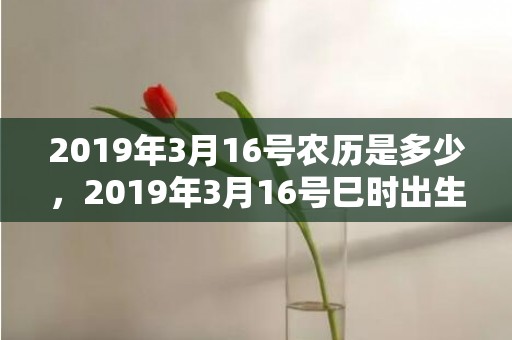 2019年3月16号农历是多少，2019年3月16号巳时出生的男孩要怎么起名字