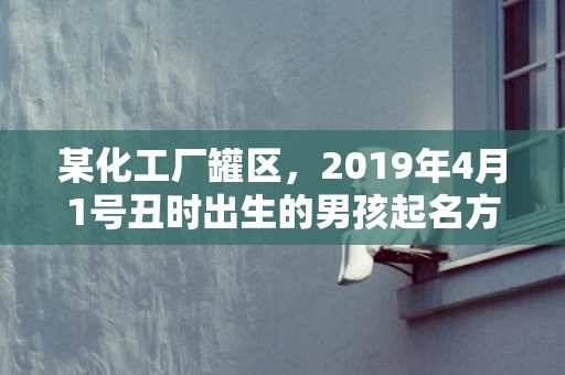 某化工厂罐区，2019年4月1号丑时出生的男孩起名方法