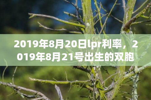 2019年8月20日lpr利率，2019年8月21号出生的双胞胎男孩如何起名，五行属什么