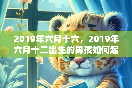 2019年六月十六，2019年六月十二出生的男孩如何起名字，五行属什么