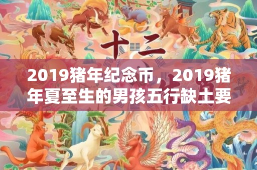 2019猪年纪念币，2019猪年夏至生的男孩五行缺土要怎么起名字