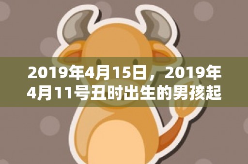 2019年4月15日，2019年4月11号丑时出生的男孩起名方法