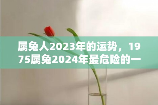 属兔人2023年的运势，1975属兔2024年最危险的一个月