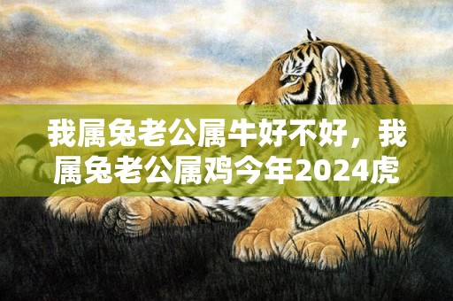 我属兔老公属牛好不好，我属兔老公属鸡今年2024虎年准备要小孩可以不