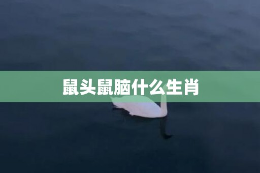 鼠头鼠脑什么生肖