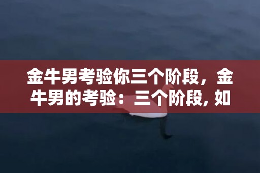 金牛男考验你三个阶段，金牛男的考验：三个阶段, 如何应对？