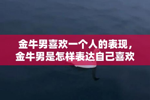 金牛男喜欢一个人的表现，金牛男是怎样表达自己喜欢一个人的？