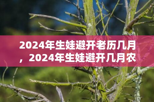 2024年生娃避开老历几月，2024年生娃避开几月农历