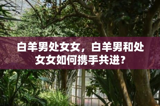 白羊男处女女，白羊男和处女女如何携手共进？