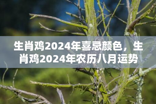 生肖鸡2024年喜忌颜色，生肖鸡2024年农历八月运势解析