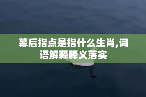 幕后指点是指什么生肖,词语解释释义落实