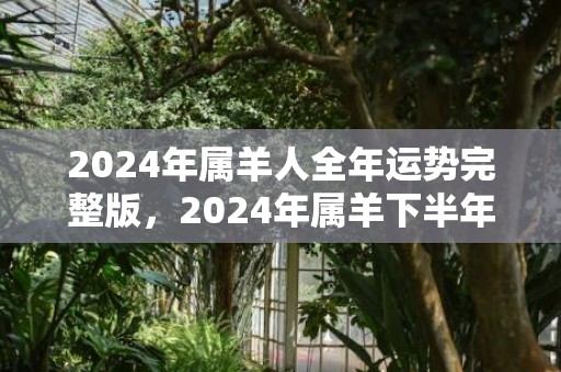 2024年属羊人全年运势完整版，2024年属羊下半年要出大事