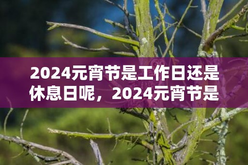 2024元宵节是工作日还是休息日呢，2024元宵节是2月15日吗