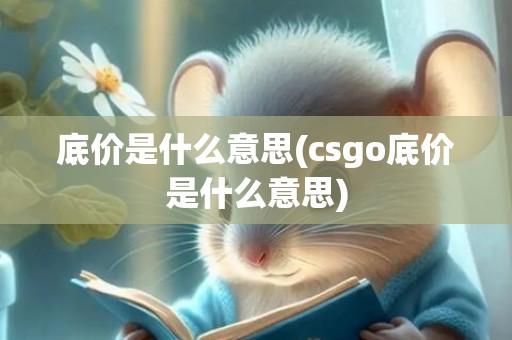 底价是什么意思(csgo底价是什么意思)