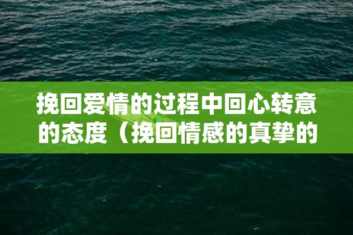 挽回爱情的过程中回心转意的态度（挽回情感的真挚的句子）