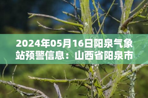 2024年05月16日阳泉气象站预警信息：山西省阳泉市发布雷暴大风蓝色预警