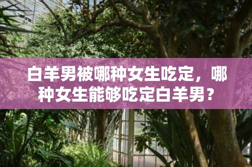 白羊男被哪种女生吃定，哪种女生能够吃定白羊男？