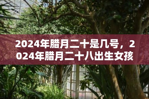 2024年腊月二十是几号，2024年腊月二十八出生女孩是什么命