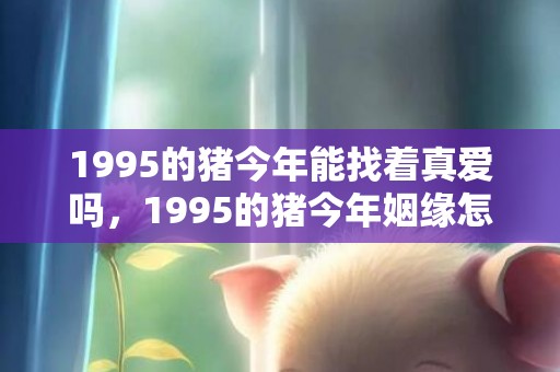 1995的猪今年能找着真爱吗，1995的猪今年姻缘怎样