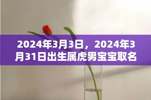 2024年3月3日，2024年3月31日出生属虎男宝宝取名