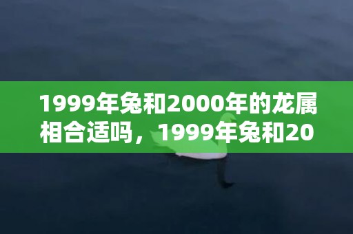 1999年兔和2000年的龙属相合适吗，1999年兔和2001年蛇八字合吗