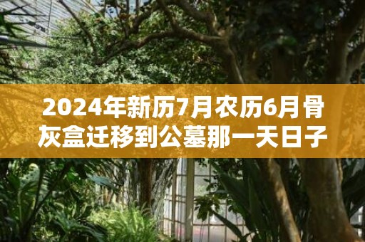 2024年新历7月农历6月骨灰盒迁移到公墓那一天日子好，2024年新历7月30日出生的宝宝一生运势如何